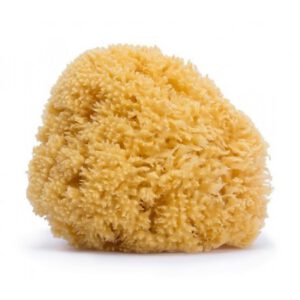 ESPONJA NATURAL SUAVINEX GRANDE